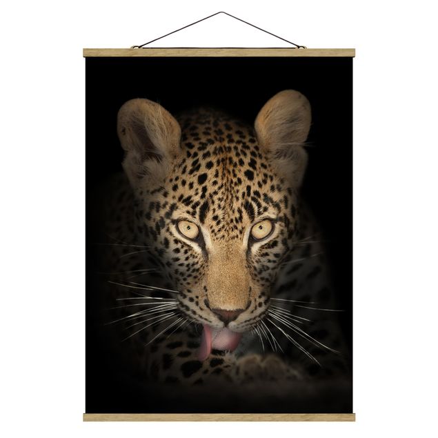 Wandbilder Modern Resting Leopard
