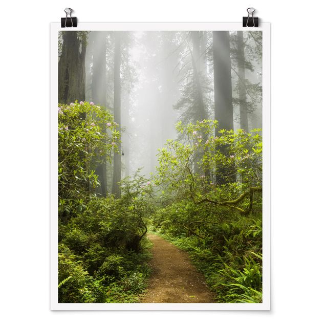 Natur Poster Nebliger Waldpfad