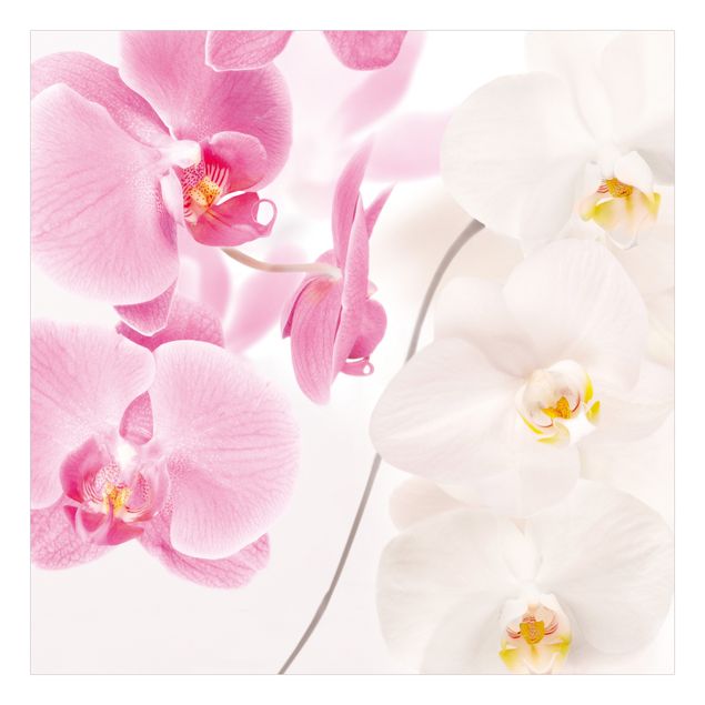 Möbelfolie für IKEA Lack - Klebefolie Delicate Orchids