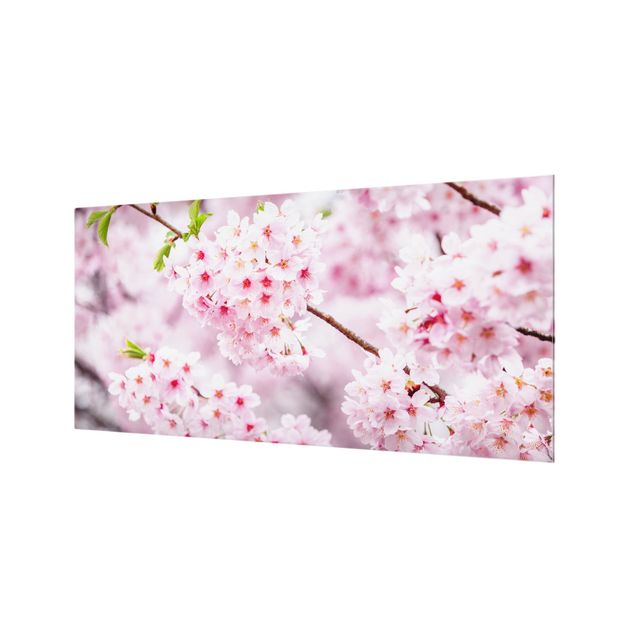 Spritzschutz Glas - Japanische Kirschblüten - Querformat 2:1