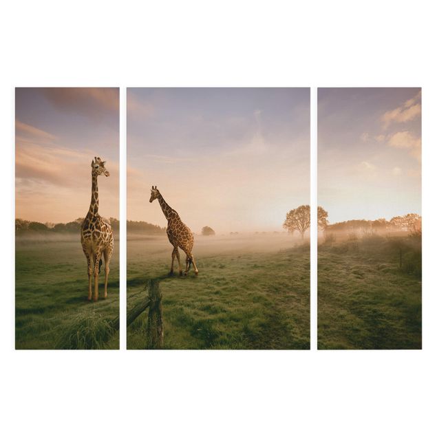 Leinwand Natur Surreal Giraffes