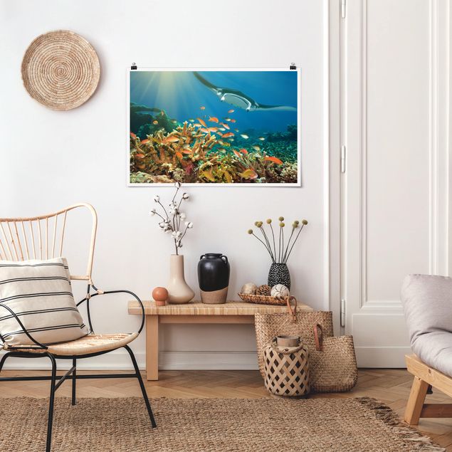 Wandbilder Landschaften Korallenriff
