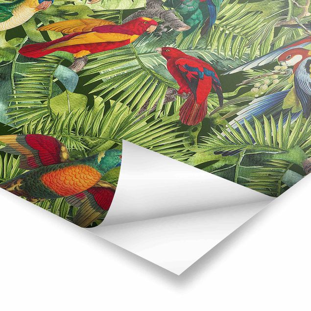 Bilder Andrea Haase Bunte Collage - Papageien im Dschungel