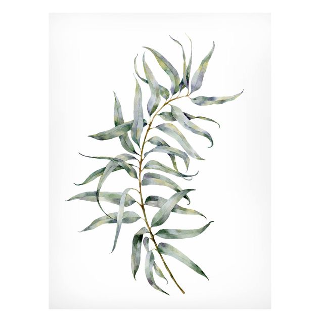 Magnettafeln Blumen Aquarell Eucalyptus IV