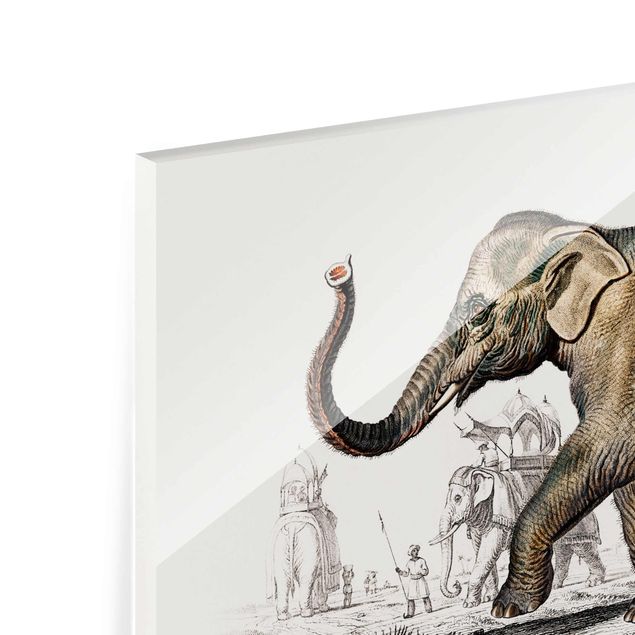 Wandbilder Braun Vintage Lehrtafel Elefant