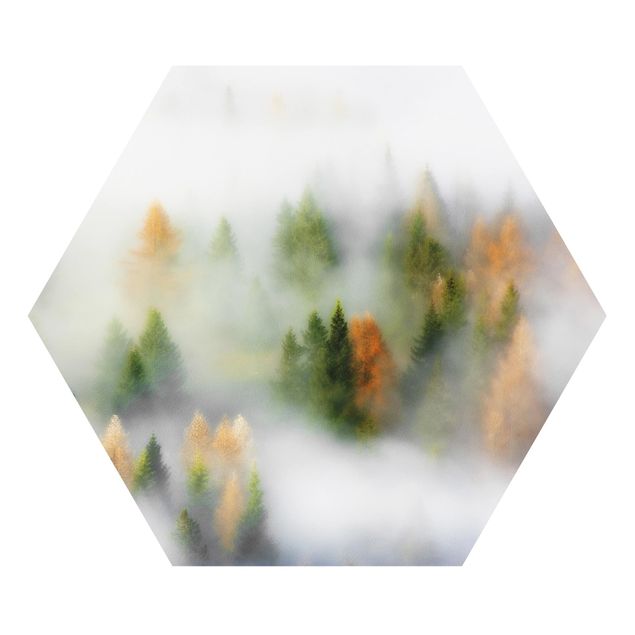 Wandbilder Modern Nebelwald im Herbst