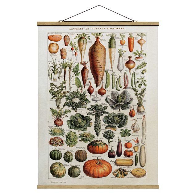 Wandbilder Blumen Vintage Lehrtafel Gemüse
