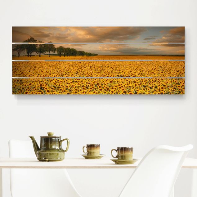 Küche Dekoration Feld mit Sonnenblumen