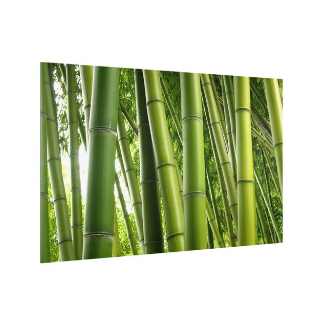 Küchenspiegel Glas Bamboo Trees