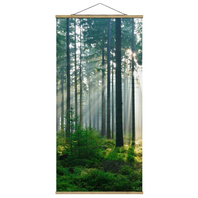 Wandbilder Natur Enlightened Forest