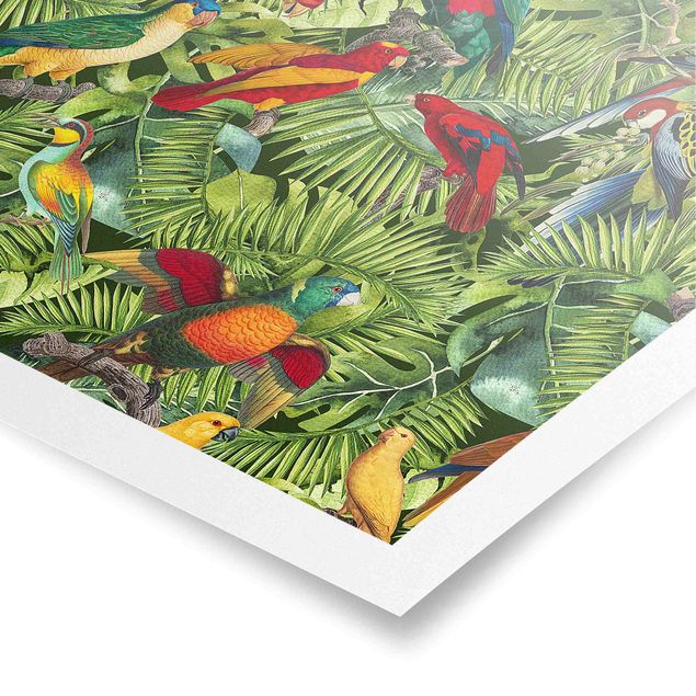 Poster Kunstdruck Bunte Collage - Papageien im Dschungel