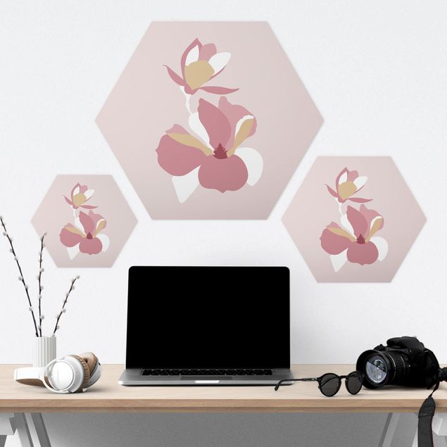 Bilder Hexagon Line Art Blüten Pastell Rosa
