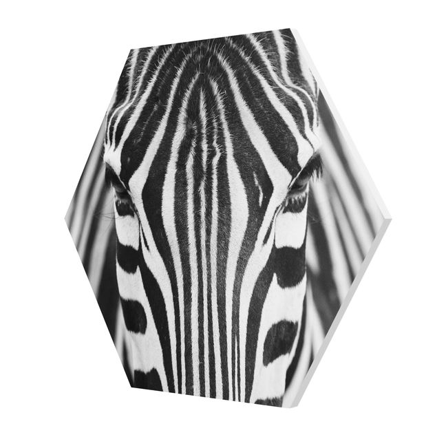Foto auf Hartschaumplatte Zebra Look