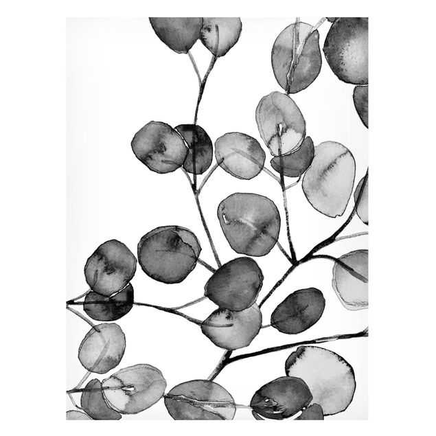 Magnettafeln Blumen Schwarz Weiß Aquarell Eukalyptuszweig