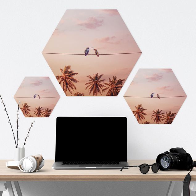 Hexagon Bilder Sonnenuntergang mit Kolibris