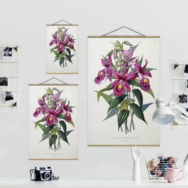 Wandbilder Kunstdrucke Maxim Gauci - Orchidee I