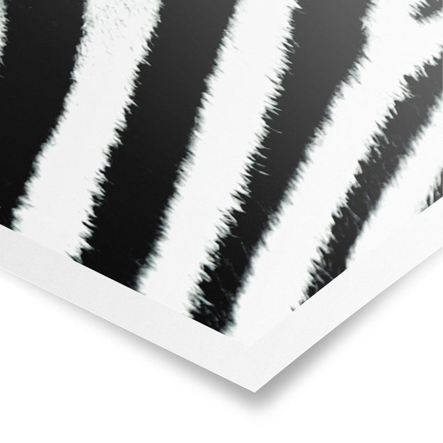 Wandbilder Muster Zebra Crossing