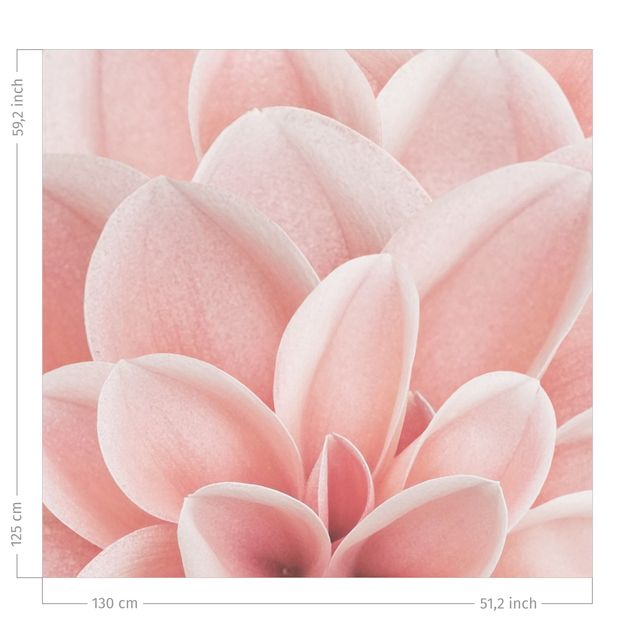 Vorhänge Maßanfertigung Dahlie Rosa Blütenblätter Detail