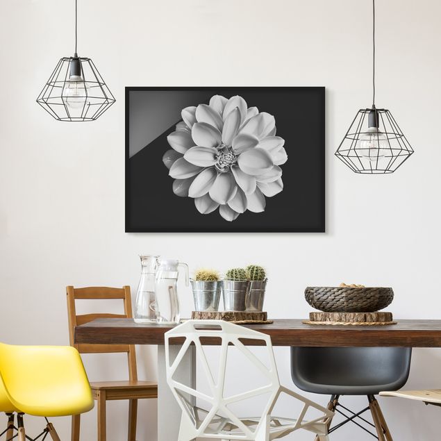 Blumenbilder mit Rahmen Dahlie Schwarz Weiß
