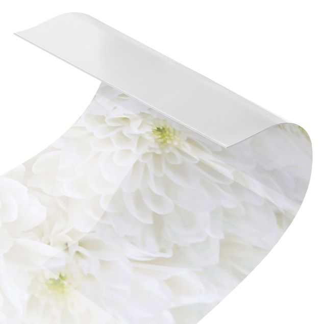 Küchenrückwand selbstklebend Dahlien Blumenmeer weiß
