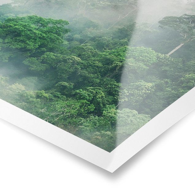 Poster Blumen Dschungel im Nebel