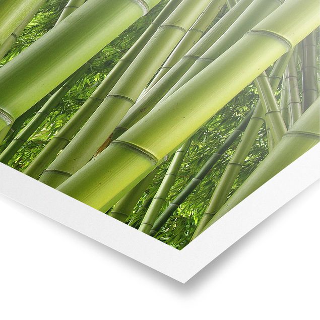 Wandbilder Floral Bamboo Trees No.2