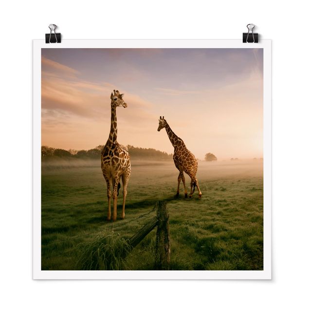 Wandbilder Bäume Surreal Giraffes