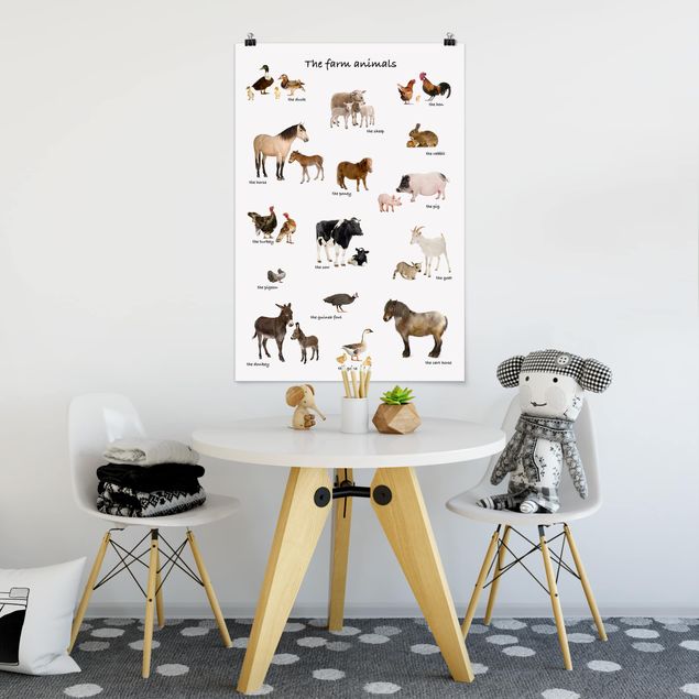 Poster Tiere Farm Animals