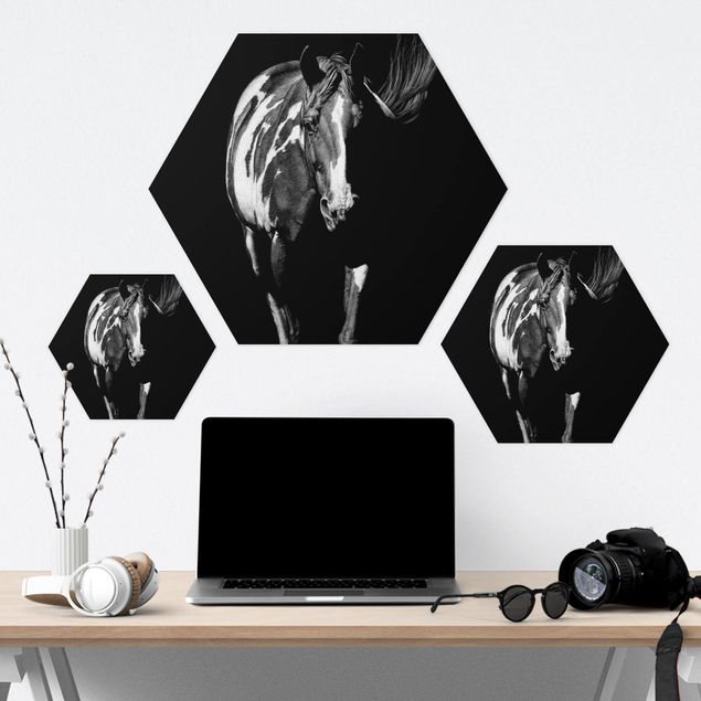Hexagon Bild Forex - Pferd vor Schwarz