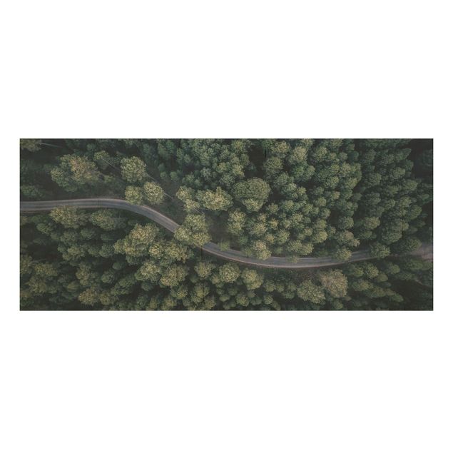 Holzbilder Landschaften Luftbild - Waldstraße von Oben
