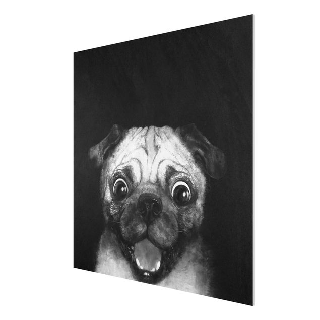 Wandbilder Kunstdrucke Illustration Hund Mops Malerei auf Schwarz Weiß