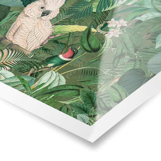 Andrea Haase Bilder Vintage Collage - Kakadu und Kolibri