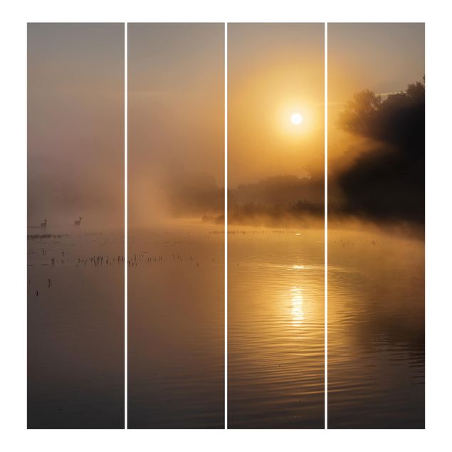 Mirau Bilder Sonnenaufgang am See mit Rehen im Nebel