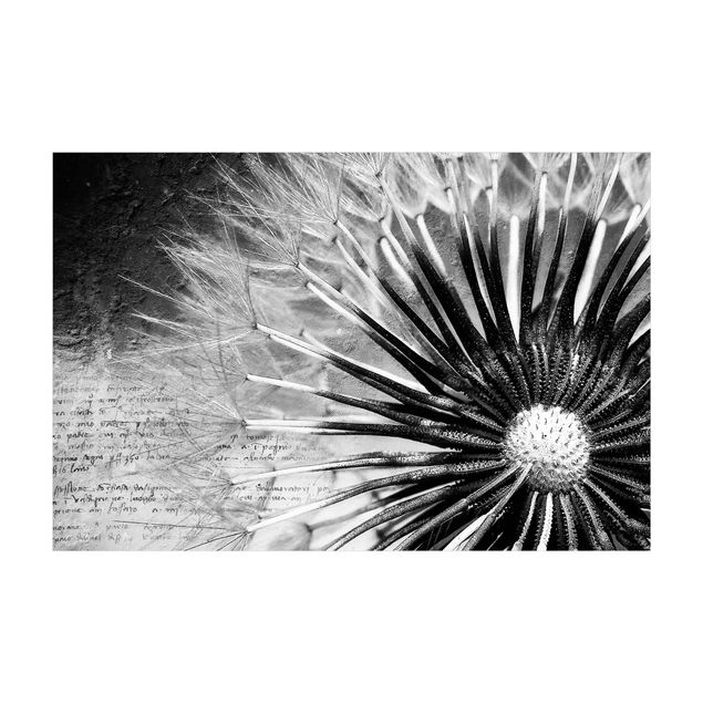 Teppich modern Pusteblume Schwarz & Weiß