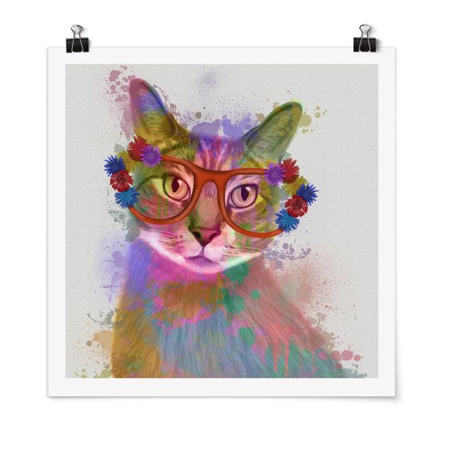 Tiere Poster Regenbogen Splash Katze