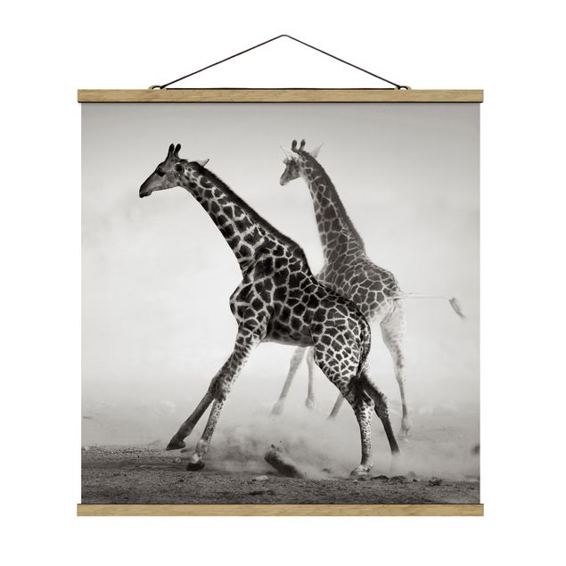 Wandbilder Natur Giraffenjagd