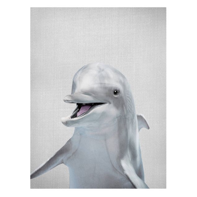 Tierbilder Leinwand Delfin Diddi