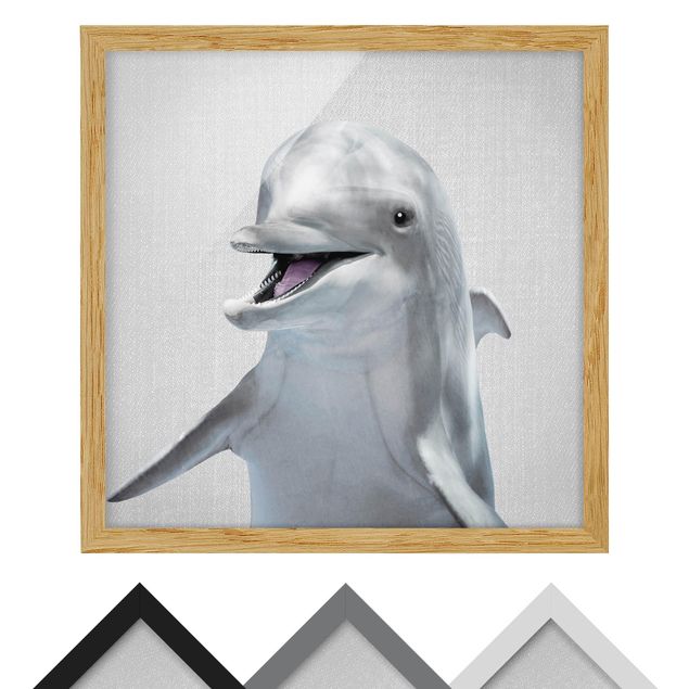 Wandbilder Schwarz-Weiß Delfin Diddi
