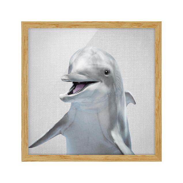 Gerahmte Bilder Tiere Delfin Diddi