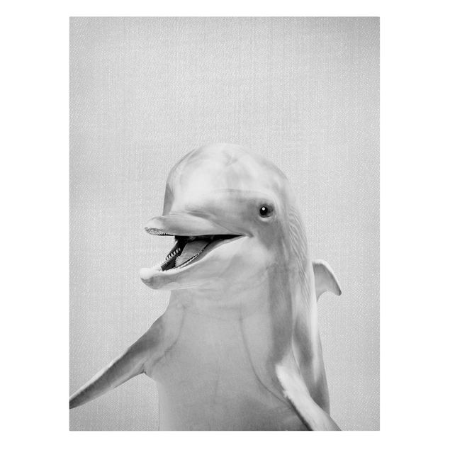 Leinwandbilder Tiere Delfin Diddi Schwarz Weiß