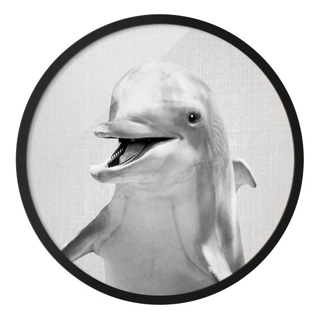Gerahmte Bilder Tiere Delfin Diddi Schwarz Weiß