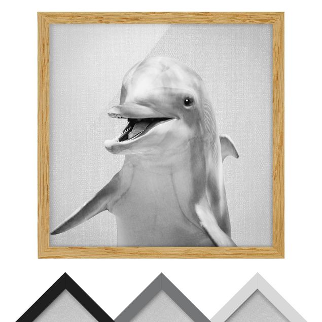 Wandbilder Schwarz-Weiß Delfin Diddi Schwarz Weiß