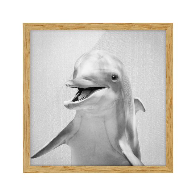 Tierbilder mit Rahmen Delfin Diddi Schwarz Weiß