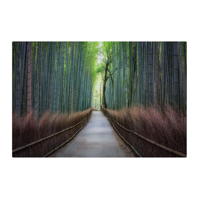 Wandbilder Natur Der Weg durch den Bambus