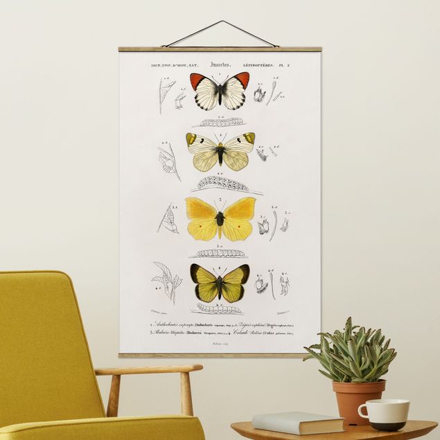 Wanddeko Küche Vintage Lehrtafel Schmetterlinge II
