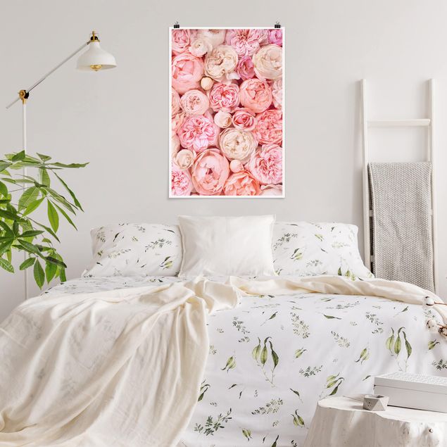 Poster Blumen Rosen Rosé Koralle Shabby