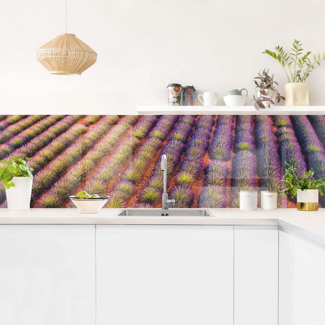 Küchenrückwände Blumen Malerisches Lavendelfeld