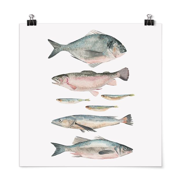 Poster mit Spruch Sieben Fische in Aquarell II