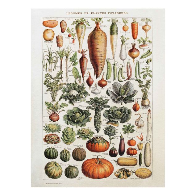 Wandbilder Gemüse Vintage Lehrtafel Gemüse