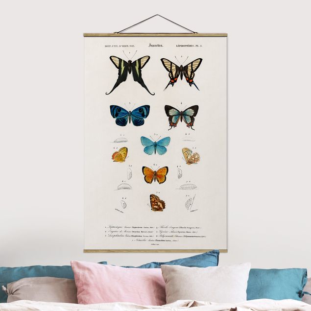 Küche Dekoration Vintage Lehrtafel Schmetterlinge I